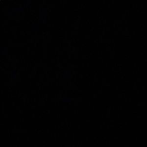 Meet your Posher, Hailey